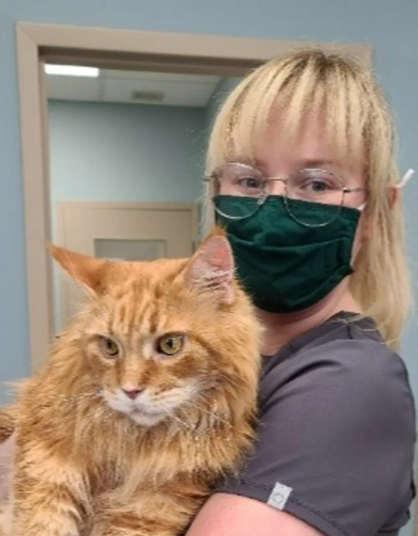 Sydnie wearing a mask holding a large red cat